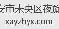 西安市未央区夜旋律