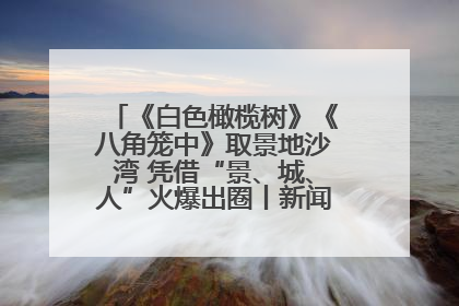 《白色橄榄树》《八角笼中》取景地沙湾 凭借“景、城、人”火爆出圈丨新闻发布最前线