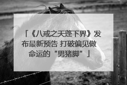 《八戒之天蓬下界》发布最新预告 打破偏见做命运的“男猪脚”