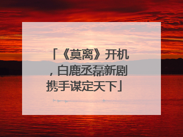 《莫离》开机，白鹿丞磊新剧携手谋定天下