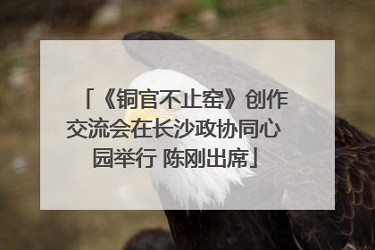 《铜官不止窑》创作交流会在长沙政协同心园举行 陈刚出席