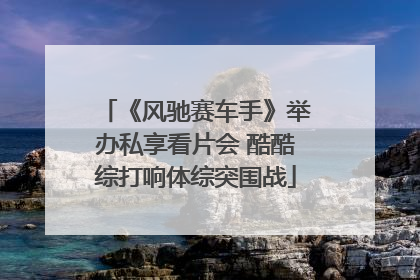 《风驰赛车手》举办私享看片会 酷酷综打响体综突围战