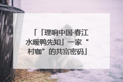 「理响中国·春江水暖鸭先知」一家“村咖”的共富密码