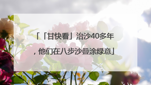 「甘快看」治沙40多年，他们在八步沙叠涂绿意