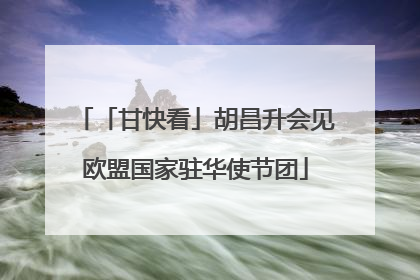「甘快看」胡昌升会见欧盟国家驻华使节团