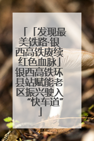 「发现最美铁路·银西高铁赓续红色血脉」银西高铁环县站赋能老区振兴驶入“快车道”