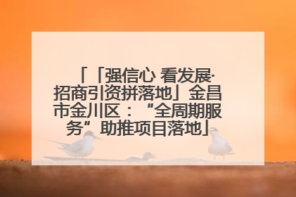 「强信心 看发展·招商引资拼落地」金昌市金川区：“全周期服务”助推项目落地