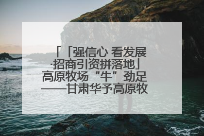 「强信心 看发展·招商引资拼落地」高原牧场“牛”劲足——甘肃华予高原牧场高标准奶牛肉牛养殖项目一线见闻