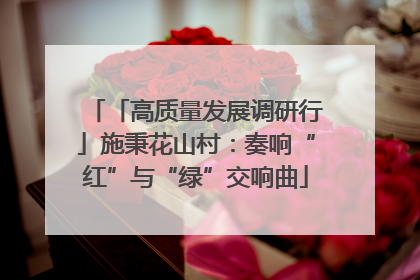 「高质量发展调研行」施秉花山村：奏响“红”与“绿”交响曲