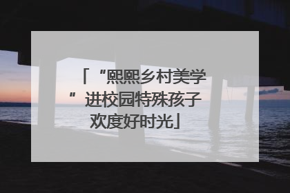 “熙熙乡村美学”进校园特殊孩子欢度好时光