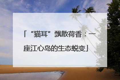 “猫耳”飘散荷香：一座江心岛的生态蜕变