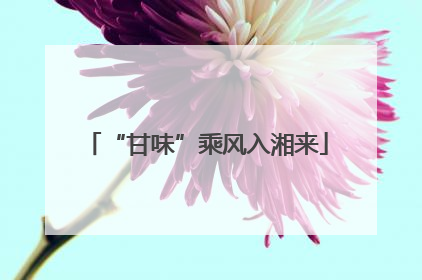 “甘味”乘风入湘来