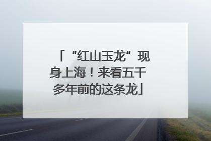 “红山玉龙”现身上海！来看五千多年前的这条龙