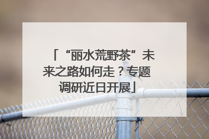“丽水荒野茶”未来之路如何走？专题调研近日开展