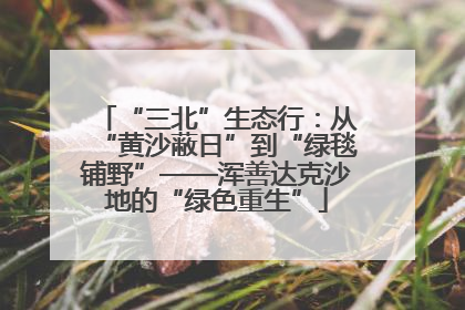 “三北”生态行：从“黄沙蔽日”到“绿毯铺野”——浑善达克沙地的“绿色重生”
