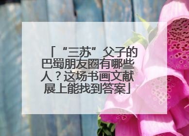 “三苏”父子的巴蜀朋友圈有哪些人？这场书画文献展上能找到答案