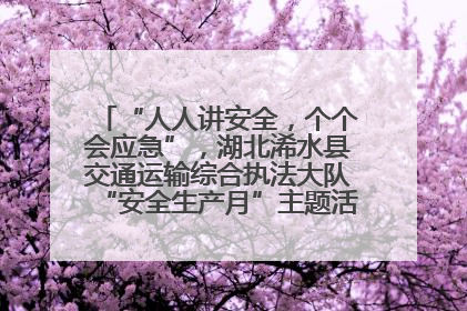 “人人讲安全，个个会应急”，湖北浠水县交通运输综合执法大队“安全生产月”主题活动取得成效