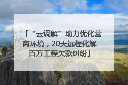 “云调解”助力优化营商环境，20天远程化解百万工程欠款纠纷