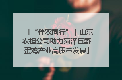 “伴农同行”｜山东农担公司助力菏泽巨野蛋鸡产业高质量发展