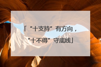 “十支持”有方向，“十不得”守底线