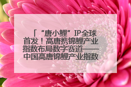 “唐小鲤”IP全球首发！高唐携锦鲤产业指数布局数字赛道——中国高唐锦鲤产业指数暨“唐小鲤”IP全球首发仪式在杭州举行