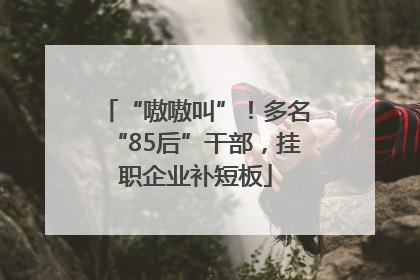 “嗷嗷叫”！多名“85后”干部，挂职企业补短板