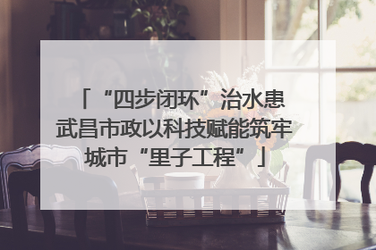 “四步闭环”治水患 武昌市政以科技赋能筑牢城市“里子工程”