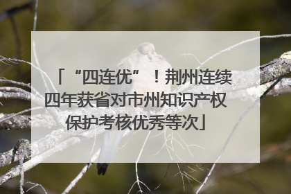 “四连优”！荆州连续四年获省对市州知识产权保护考核优秀等次