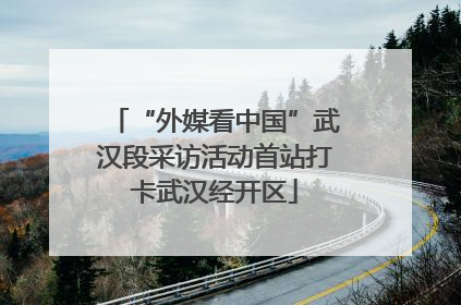 “外媒看中国”武汉段采访活动首站打卡武汉经开区