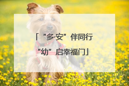 “多·安”伴同行 “幼”启幸福门