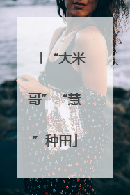 “大米哥”“慧”种田