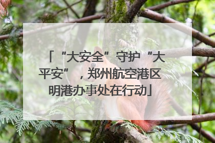 “大安全”守护“大平安”，郑州航空港区明港办事处在行动