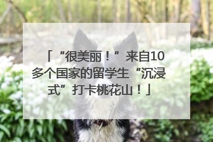 “很美丽！”来自10多个国家的留学生“沉浸式”打卡桃花山！