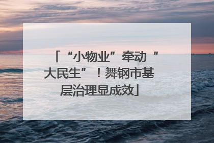 “小物业”牵动“大民生”！舞钢市基层治理显成效