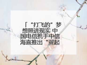 “打飞的”梦想照进现实 中国电信携手中信海直推出“翼起飞”空中旅游