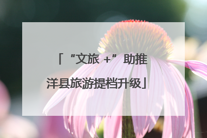 “文旅 +”助推洋县旅游提档升级