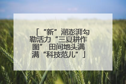 “新”潮澎湃勾勒活力“三夏耕作图” 田间地头满满“科技范儿”
