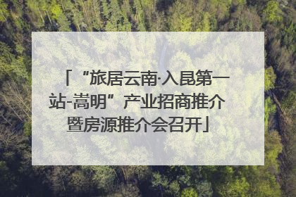 “旅居云南·入昆第一站-嵩明”产业招商推介暨房源推介会召开