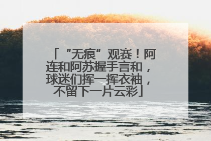 “无痕”观赛！阿连和阿苏握手言和，球迷们挥一挥衣袖，不留下一片云彩