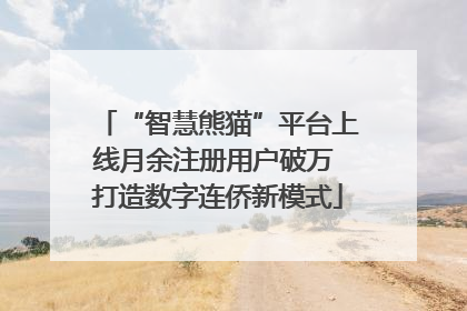“智慧熊猫”平台上线月余注册用户破万 打造数字连侨新模式