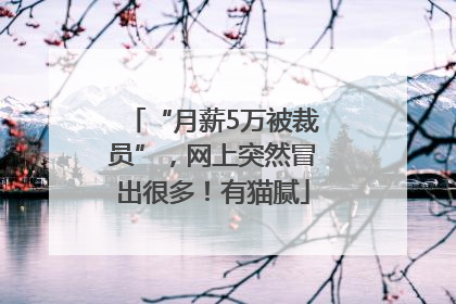 “月薪5万被裁员”，网上突然冒出很多！有猫腻