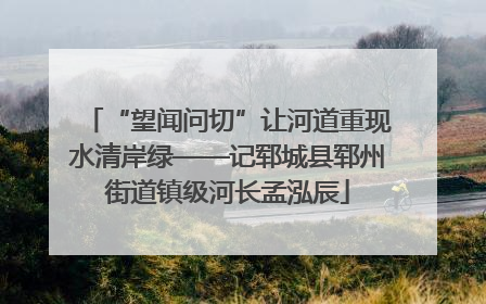 “望闻问切”让河道重现水清岸绿——记郓城县郓州街道镇级河长孟泓辰