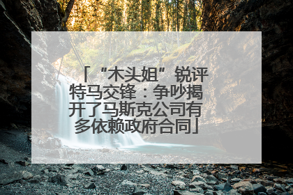 “木头姐”锐评特马交锋：争吵揭开了马斯克公司有多依赖政府合同