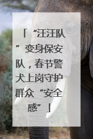 “汪汪队”变身保安队，春节警犬上岗守护群众“安全感”