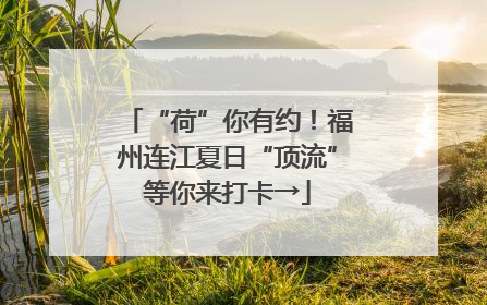 “荷”你有约！福州连江夏日“顶流”等你来打卡→
