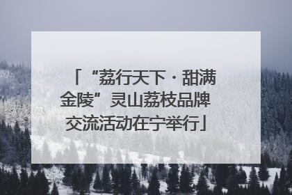 “荔行天下・甜满金陵”灵山荔枝品牌交流活动在宁举行