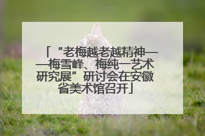 “老梅越老越精神——梅雪峰、梅纯一艺术研究展”研讨会在安徽省美术馆召开
