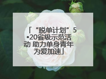 “脱单计划”5•20省级示范活动 助力单身青年为爱加速