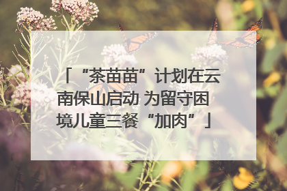“茶苗苗”计划在云南保山启动 为留守困境儿童三餐“加肉”