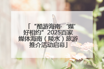“酷游海南·‘媒’好相约”2025百家媒体海南（陵水）旅游推介活动启幕